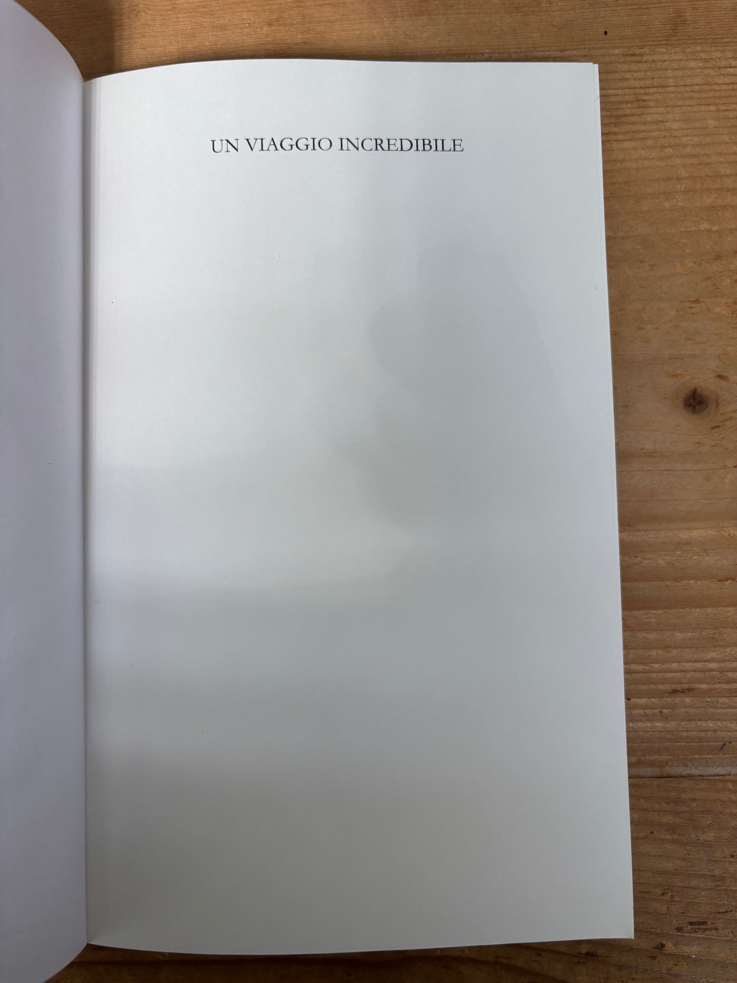 Un Viaggio incredibile