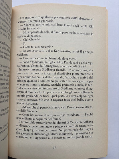 Il principe Siddharta - Fuga della Reggia