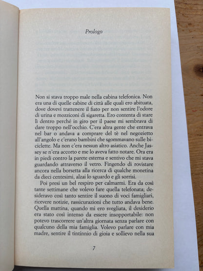 Il sentiero dei sogni luminosi